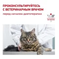 Сухий корм Royal Canin Gastrointestinal Fibre Response при порушеннях травлення у кішок, 400 г