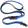 Нейлоновий поводок Ferplast Cricket Matic GA15 / 200 Blue для дресирування собак, синій, 15 мм, 200 см