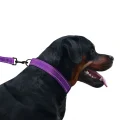 Нашийник BronzeDog Active, для собак, нейлоновий, фастекс пластик, фіолетовий, 30-40×2 см