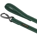 Повідець BronzeDog Cotton для собак, брезент з карабіном на замку, зелений, 500×3.2 см