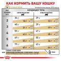 Сухий корм Royal Canin Urinary S / O Moderate Calorie при сечокам'яній хворобі у котів, 3.5 кг