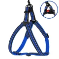 Шлея BronzeDog Mesh Стандарт для собак, сітчастий нейлон, синій, 45-60 см