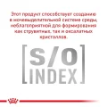 Сухий корм Royal Canin Skin Care Adult Small Dog при захворюванні шкіри у собак дрібних порід, 2 кг