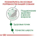 Вологий корм Royal Canin Mini Ageing 12+ для собак дрібних порід старше 12 років, шматочки в соусі, 85 г