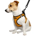 Шлея BronzeDog Sport Vest для собак з нейлону, неопрену і 3D сітки, помаранчевий, 29-34 см