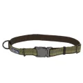 Нейлоновий нашийник Coastal K9 Explorer для собак, зелений, 2.5×45-65 см