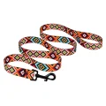 Повідець BronzeDog Tribal для собак, нейлон, принт гуцульський, помаранчевий, 152×2 см
