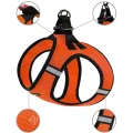 Шлея BronzeDog Mesh Vest для собак, сітчастий нейлон, помаранчевий, 42-47 см
