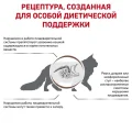 Сухий корм Royal Canin Gastrointestinal Fibre Response при порушеннях травлення у кішок, 400 г