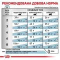 Сухий корм Royal Canin Skin & Coat при дерматозе і випаданні шерсті у котів, 400 г