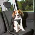 Шлея захисна Trixie Dog Protect XL для собак, в авто, 80 - 100 см х 23 мм, нейлон, чорний