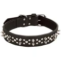 Подвійний нашийник Coastal Spiked Leather для собак, з шипами, чорний, 4.25×65 см