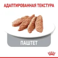 Вологий корм Royal Canin Light Weight Care шматочки в желе, для котів схильних до зайвої ваги, 85 г