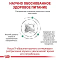 Сухий корм Royal Canin Satiety Weight Management для собак із зайвою вагою, 12 кг