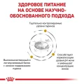 Сухий корм Royal Canin Urinary U / C при лікуванні сечокам'яної хвороби у собак, 2 кг