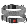 Нашийник BronzeDog Active, для собак, нейлоновий, фастекс пластик, сірий, 30-40×2 см