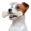 Жувальна іграшка Ferplast GoodBite Natural Salmon Bone S для собак, 11x3,6x1,7 см