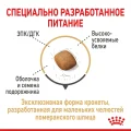 Сухий корм Royal Canin Pomeranian Adult для дорослих собак породи померанський шпіц, 500 г
