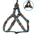 Шлея BronzeDog Tribal для собак, нейлон, принт гуцульський, ментоловий, 57-73 см