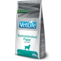 Сухий корм Farmina Vet Life Gastrointestinal Puppy для цуценят, при захворюванні ШКТ, 2 кг