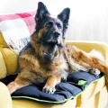 Водоотталкивающая подушка Ferplast Jolly 110 Cushion Black для собак, чорна, 108×79 см