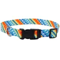 Нашийник Coastal Pet Attire Style для собак, різнокольоровий