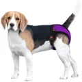 Труси гігієнічні BronzeDog Mesh для собак, нейлон з 3D сіткою, регульовані, фіолетовий, L