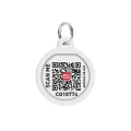 Адресник WAUDOG Smart ID c QR паспортом для собак і котів, металевий, малюнок "NASA", коло, 25 мм