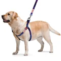 Шлея WAUDOG NYLON з QR-паспортом, для собак, малюнок "NASA21", нейлон, розмір S, 15 мм/40-55 см