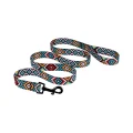 Повідець BronzeDog Tribal для собак, нейлон, принт гуцульський, ментоловий, 152×2 см