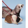 Регульована шлею Ferplast NY Rod Harness Rodents Red для морських свинок, червона