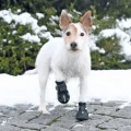 Захисні черевики Trixie Walker Active для собак, розмір XS, чорний