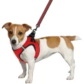 Шлея BronzeDog Mesh Vest для собак, сітчастий нейлон, червоний, 42-47 см