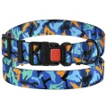 Нашийник BronzeDog Urban Camo, для собак, нейлоновий, фастекс пластиковий, синій, 25-33×1.6 см
