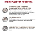 Сухий корм Royal Canin Gastrointestinal Fibre Response при порушеннях травлення у кішок, 400 г