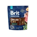 Сухий корм Brit Premium Dog Sensitive Lamb, для собак, 1 кг