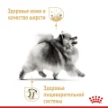 Вологий корм Royal Canin Pomeranian Adult паштет, для померанського шпіца, 85 г
