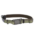Нейлоновий нашийник Coastal K9 Explorer для собак, зелений, 1.6×20-30 см