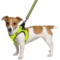 Шлея BronzeDog Mesh Vest для собак, сітчастий нейлон, лимонний, 26-29 см