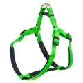 Нейлонова шлейки Ferplast Daytona P Harness Medium Green для собак, A: 51 ÷ 55 см, B: 53 ÷ 61 см