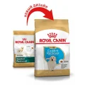 Сухий корм Royal Canin Golden Retriever Puppy для цуценя золотистого ретривера, 12 кг