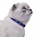 Нашийник BronzeDog Urban, для котів, нейлоновий, дзвіночок, принт черепа, синій, 18-28×1 см
