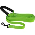 Повідець BronzeDog Active для собак, нейлоновий з м'якою ручкою, салатовий, 9 м×2.5 см