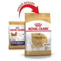 Сухий корм Royal Canin Chihuahua Adult для чихуахуа, 500 г