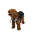 Жилетка Paw Star Sport Vest для собак, розмір S, чорна