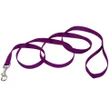 Нейлоновий поводок Coastal Nylon Training для собак, пурпурний, 2.5×1.8 м