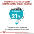Сухий корм Royal Canin Mini Urinary Care для собак дрібних порід з чутливою сечовидільної системою, 1 кг
