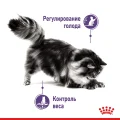 Вологий корм Royal Canin Appetite Control Care шматочки в соусі, для стерилізованих котів, 85 г
