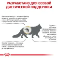 Сухий корм Royal Canin Urinary S / O при сечокам'яній хворобі у кішок, 3.5 кг