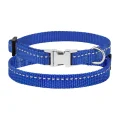 Нашийник BronzeDog Active, для собак і котів, нейлоновий, фастекс хром, синій, 18-28×1 см
